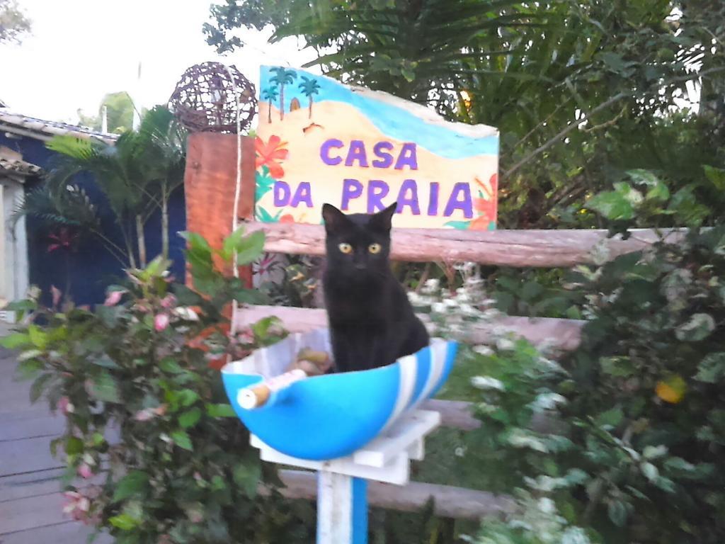 Pousada Casa Da Praia Itaunas Ngoại thất bức ảnh